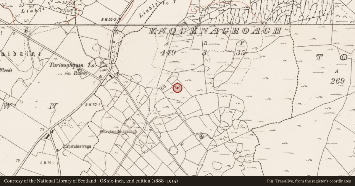 Ordnance Survey six-inch map, 2nd edition (1888–1915) covering the location of Hut site, Knocknagroagh, County Clare, with a pin at the register's coordinates