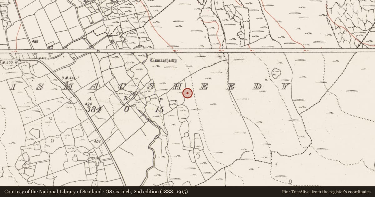 Ordnance Survey six-inch map, 2nd edition (1888–1915) covering the location of Hut site, Lismacsheedy, County Clare, with a pin at the register's coordinates