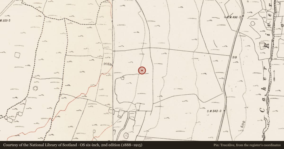 Ordnance Survey six-inch map, 2nd edition (1888–1915) covering the location of Enclosure, Caherbullog, County Clare, with a pin at the register's coordinates