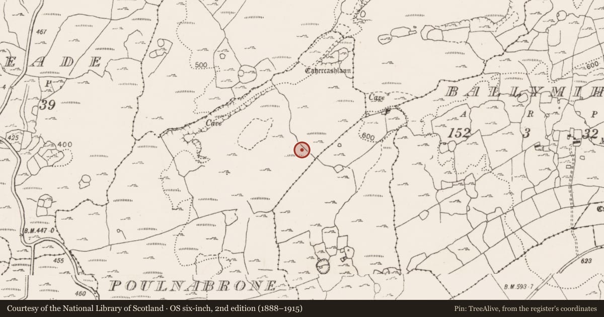 Ordnance Survey six-inch map, 2nd edition (1888–1915) covering the location of Enclosure, Poulnabrone, County Clare, with a pin at the register's coordinates