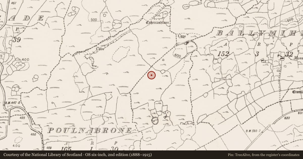 Ordnance Survey six-inch map, 2nd edition (1888–1915) covering the location of Hut site, Poulgorm, County Clare, with a pin at the register's coordinates