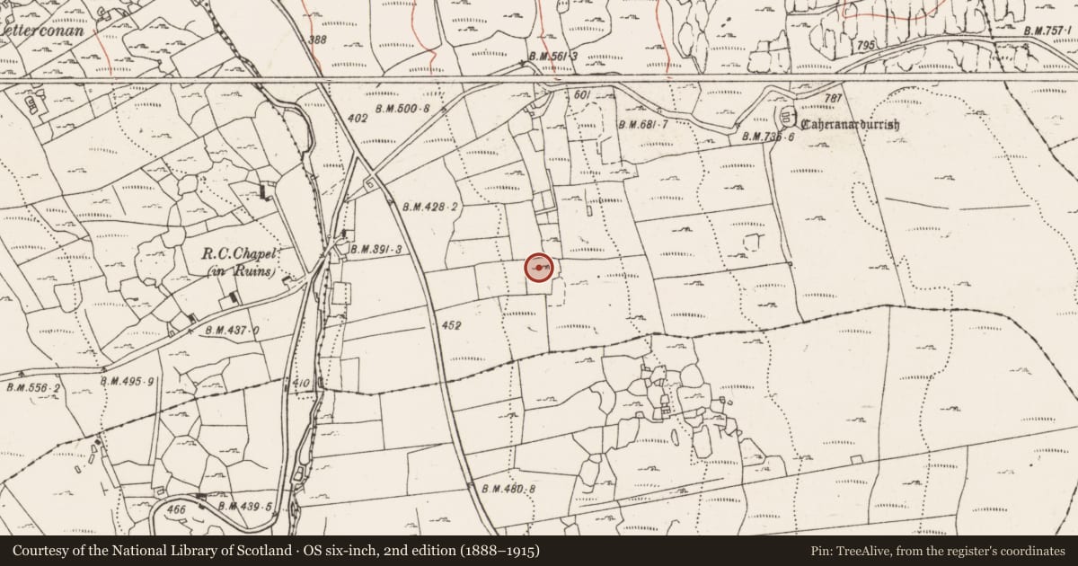 Ordnance Survey six-inch map, 2nd edition (1888–1915) covering the location of Ringfort - cashel, Formoyle East, County Clare, with a pin at the register's coordinates