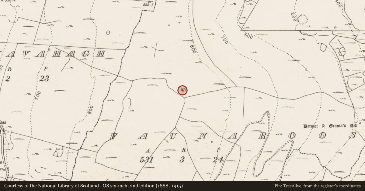 Ordnance Survey six-inch map, 2nd edition (1888–1915) covering the location of Ringfort - cashel, Faunarooska, County Clare, with a pin at the register's coordinates
