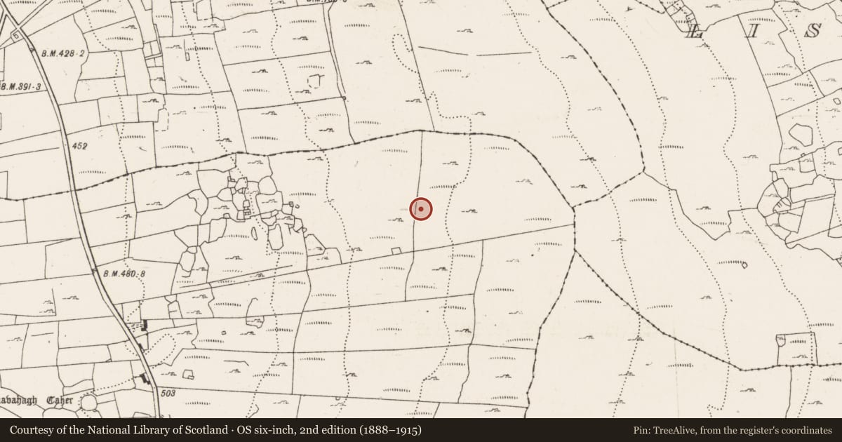 Ordnance Survey six-inch map, 2nd edition (1888–1915) covering the location of Hut site, Derrynavahagh, County Clare, with a pin at the register's coordinates