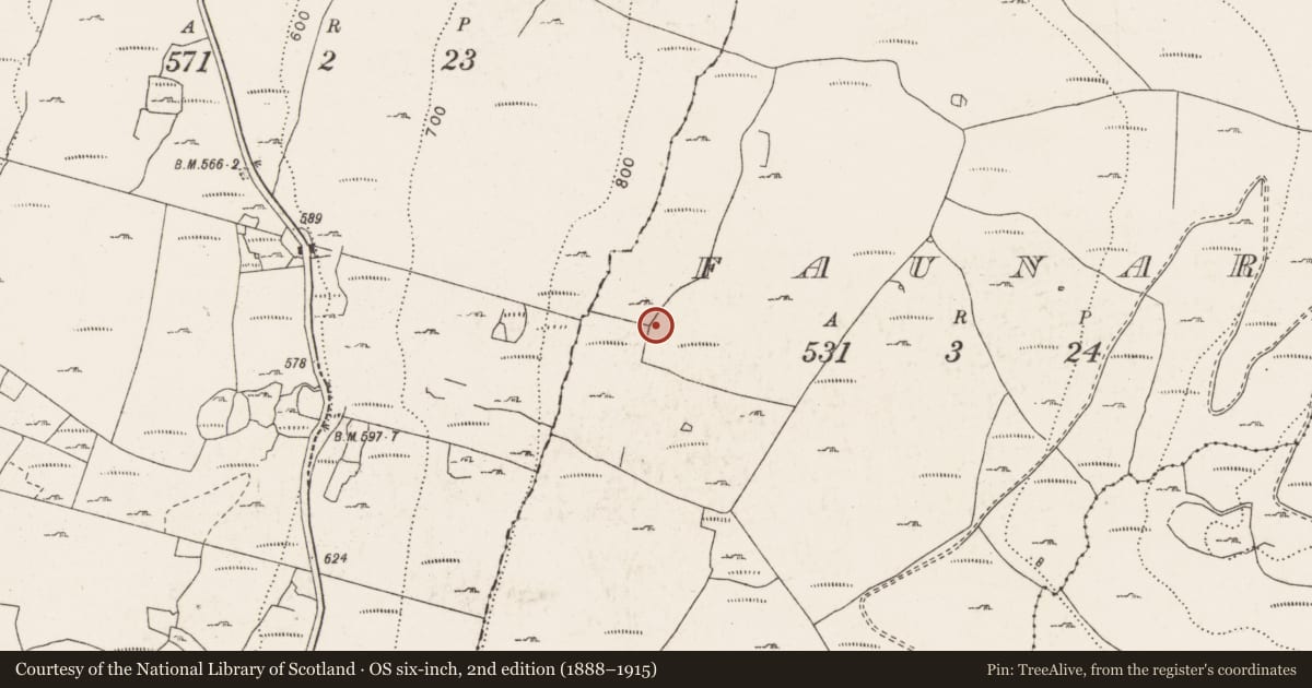 Ordnance Survey six-inch map, 2nd edition (1888–1915) covering the location of Enclosure, Faunarooska, County Clare, with a pin at the register's coordinates