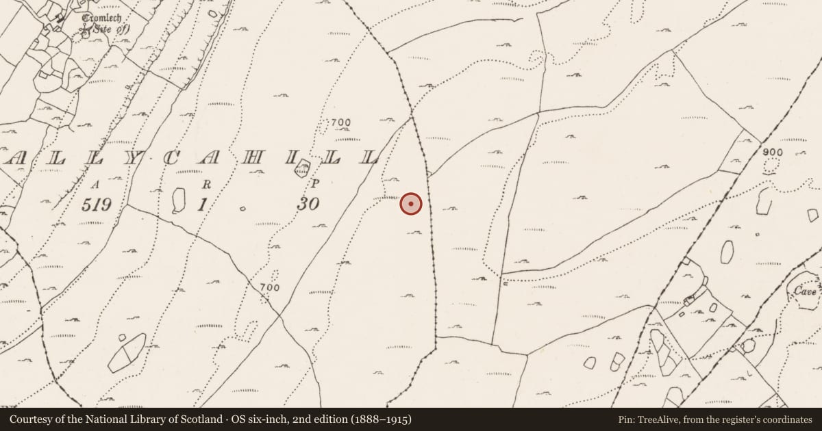 Ordnance Survey six-inch map, 2nd edition (1888–1915) covering the location of Enclosure, Ballycahill, County Clare, with a pin at the register's coordinates