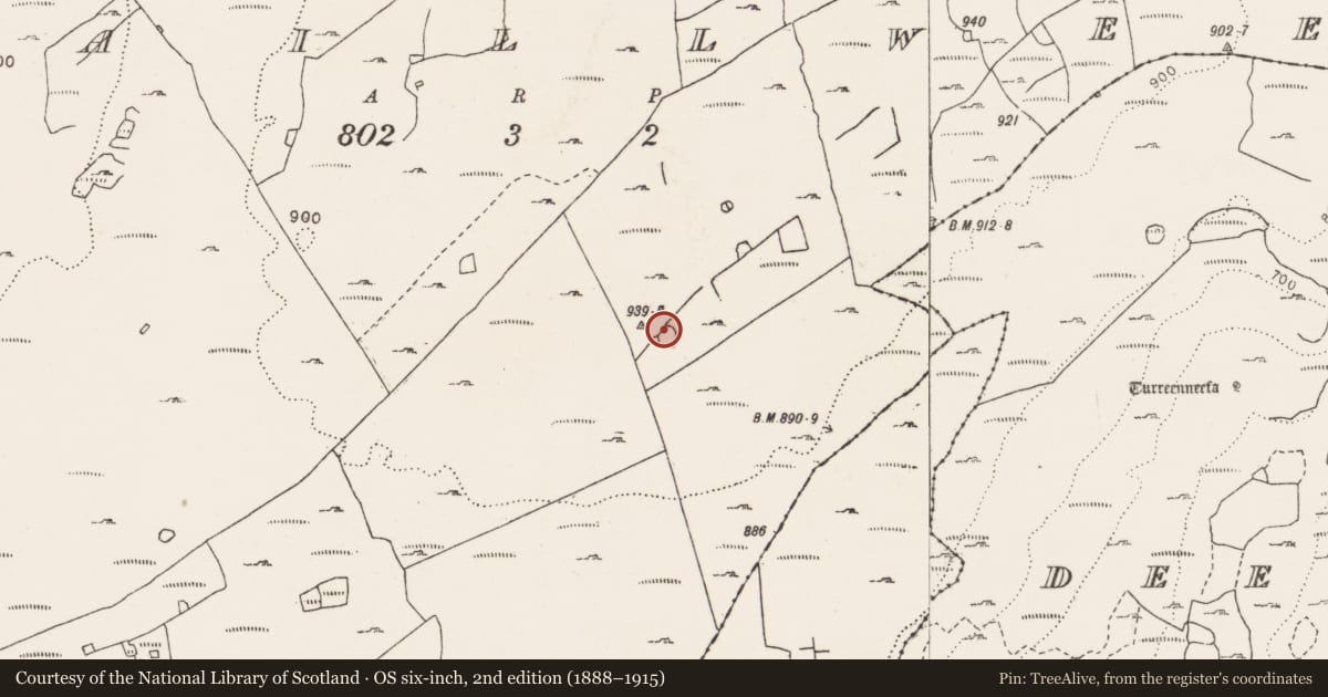 Ordnance Survey six-inch map, 2nd edition (1888–1915) covering the location of Ringfort - cashel, Aillwee, County Clare, with a pin at the register's coordinates