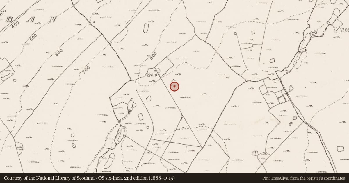 Ordnance Survey six-inch map, 2nd edition (1888–1915) covering the location of Enclosure, Ballycahill, County Clare, with a pin at the register's coordinates