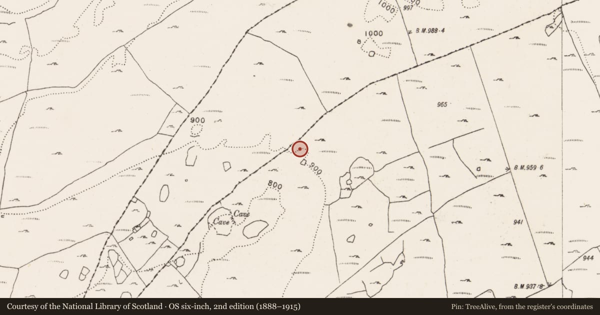 Ordnance Survey six-inch map, 2nd edition (1888–1915) covering the location of Hut site, Aillwee, County Clare, with a pin at the register's coordinates