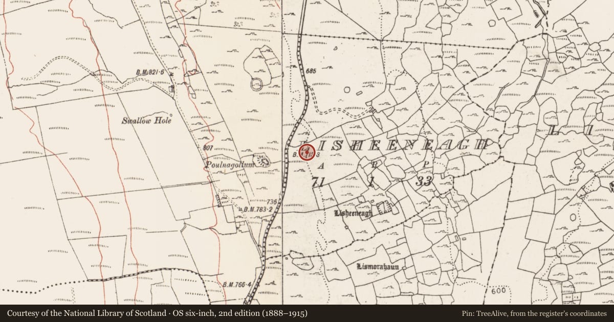 Ordnance Survey six-inch map, 2nd edition (1888–1915) covering the location of Enclosure, Lisheeneagh, County Clare, with a pin at the register's coordinates