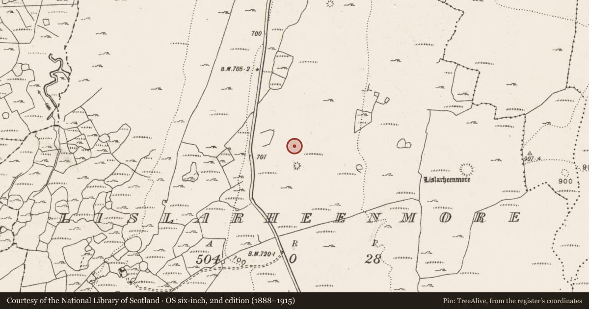 Ordnance Survey six-inch map, 2nd edition (1888–1915) covering the location of Enclosure, Lislarheenmore, County Clare, with a pin at the register's coordinates