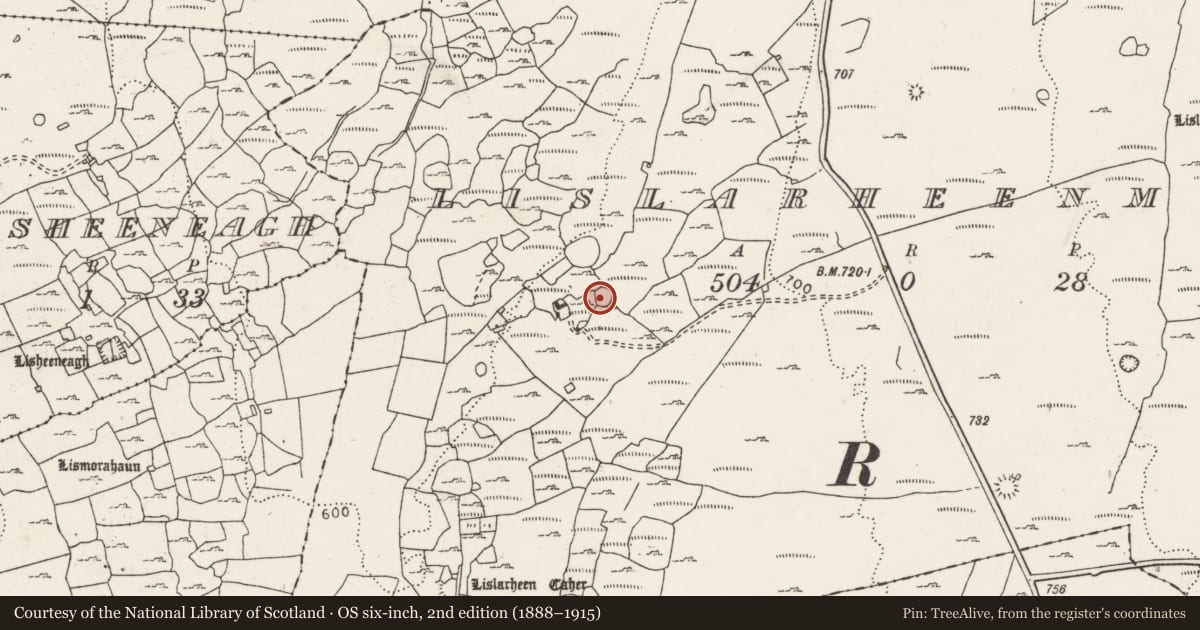 Ordnance Survey six-inch map, 2nd edition (1888–1915) covering the location of Enclosure, Lislarheenmore, County Clare, with a pin at the register's coordinates