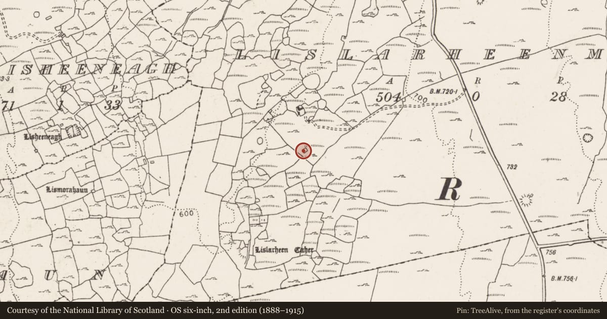Ordnance Survey six-inch map, 2nd edition (1888–1915) covering the location of Enclosure, Lislarheenmore, County Clare, with a pin at the register's coordinates