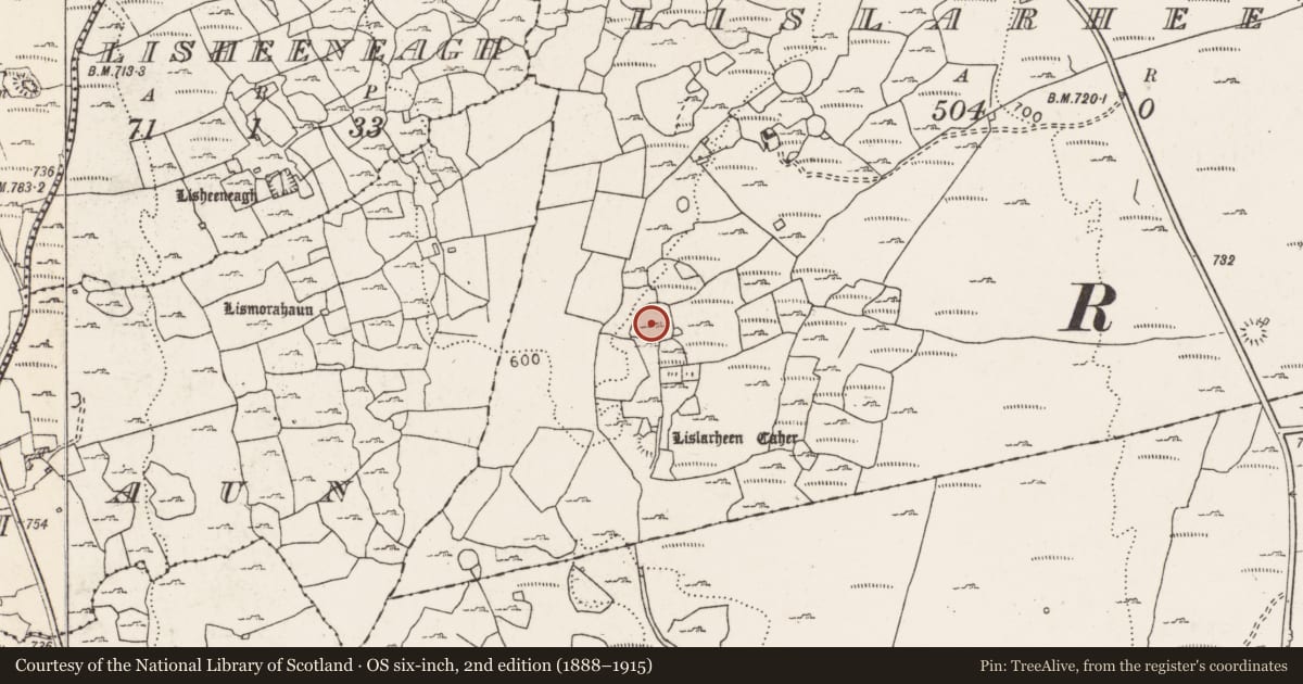 Ordnance Survey six-inch map, 2nd edition (1888–1915) covering the location of Enclosure, Lislarheenmore, County Clare, with a pin at the register's coordinates