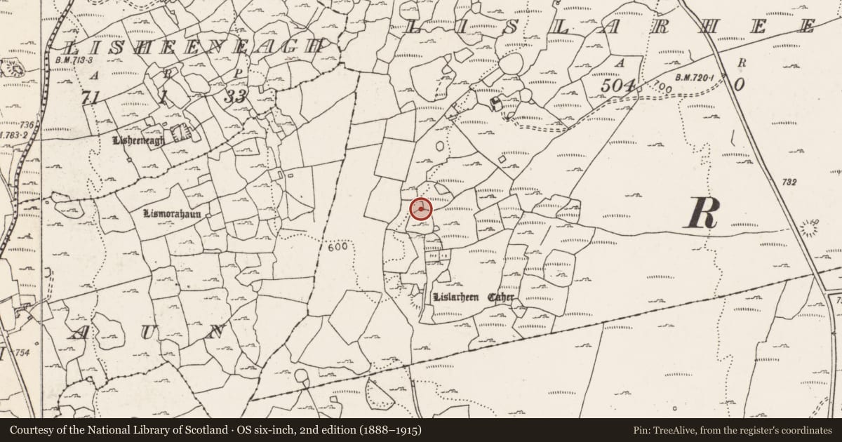 Ordnance Survey six-inch map, 2nd edition (1888–1915) covering the location of Hut site, Lislarheenmore, County Clare, with a pin at the register's coordinates