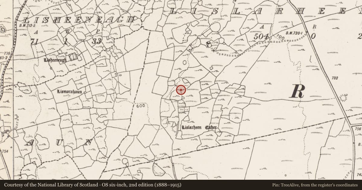 Ordnance Survey six-inch map, 2nd edition (1888–1915) covering the location of Hut site, Lislarheenmore, County Clare, with a pin at the register's coordinates