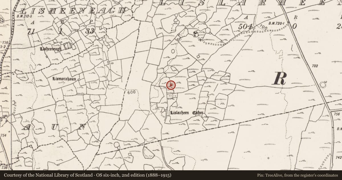 Ordnance Survey six-inch map, 2nd edition (1888–1915) covering the location of Hut site, Lislarheenmore, County Clare, with a pin at the register's coordinates