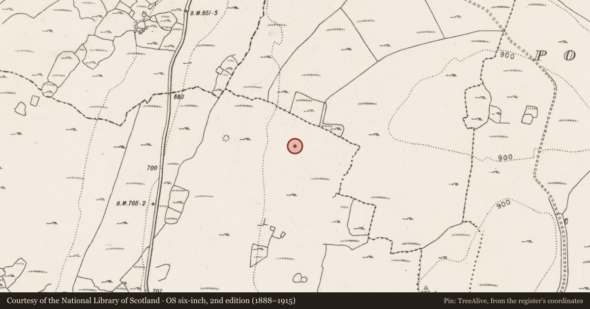 Ordnance Survey six-inch map, 2nd edition (1888–1915) covering the location of Enclosure, Lislarheenmore, County Clare, with a pin at the register's coordinates