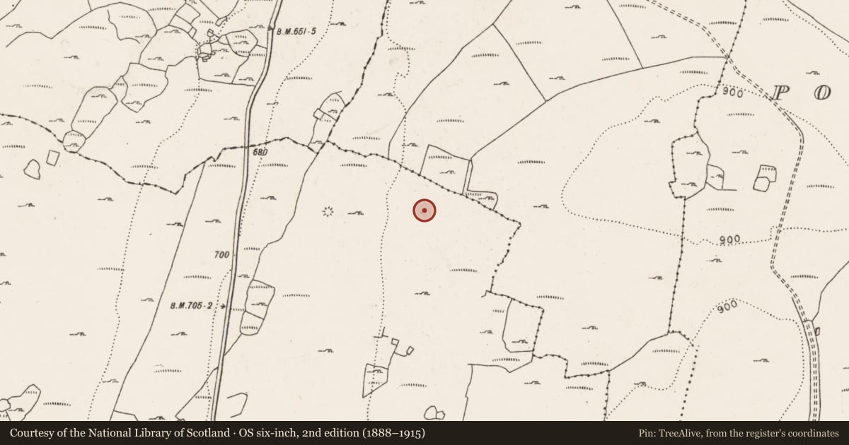 Ordnance Survey six-inch map, 2nd edition (1888–1915) covering the location of Hut site, Lislarheenmore, County Clare, with a pin at the register's coordinates