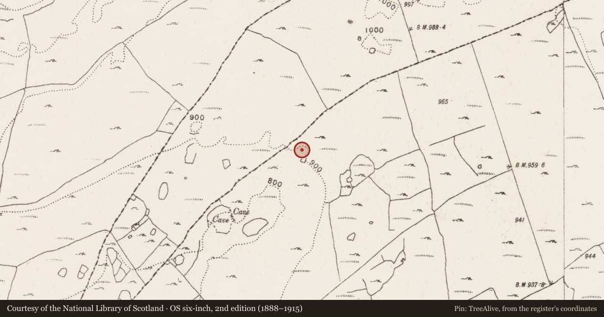 Ordnance Survey six-inch map, 2nd edition (1888–1915) covering the location of Hut site, Aillwee, County Clare, with a pin at the register's coordinates