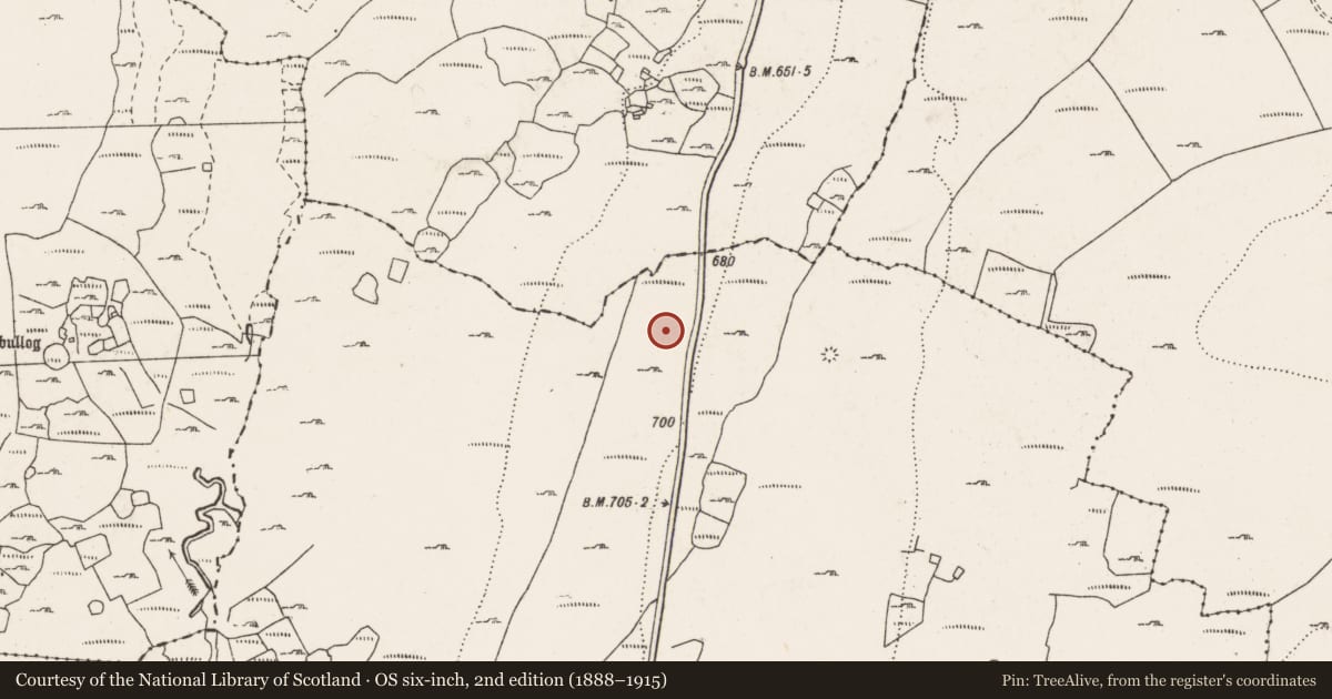 Ordnance Survey six-inch map, 2nd edition (1888–1915) covering the location of Enclosure, Lislarheenmore, County Clare, with a pin at the register's coordinates