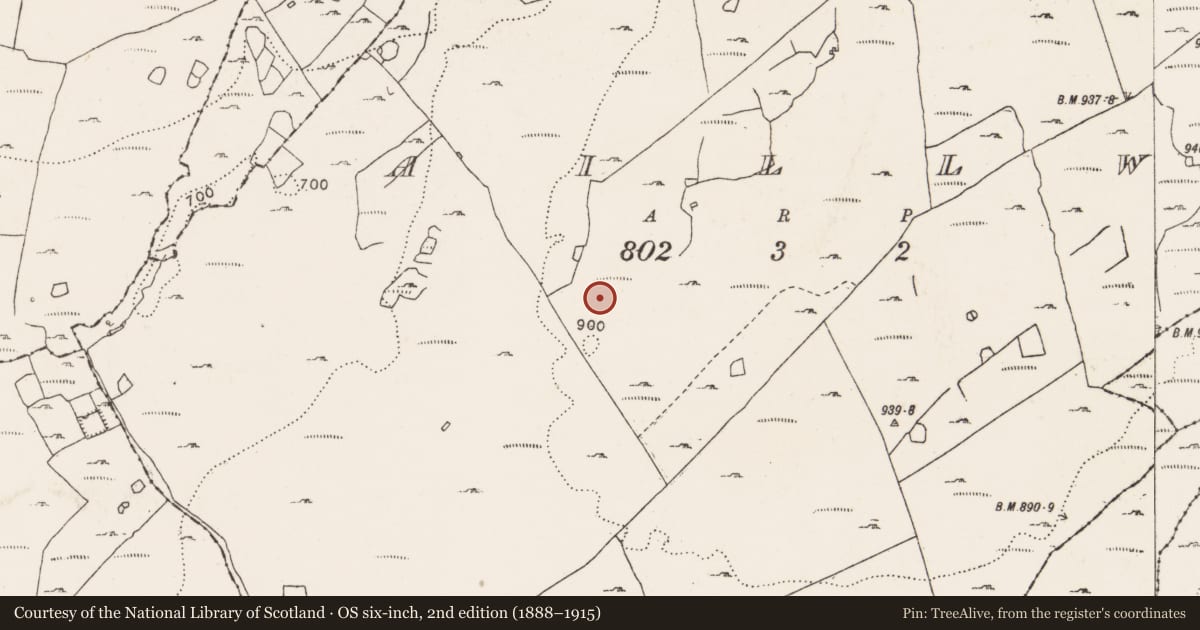 Ordnance Survey six-inch map, 2nd edition (1888–1915) covering the location of Ringfort - cashel, Aillwee, County Clare, with a pin at the register's coordinates