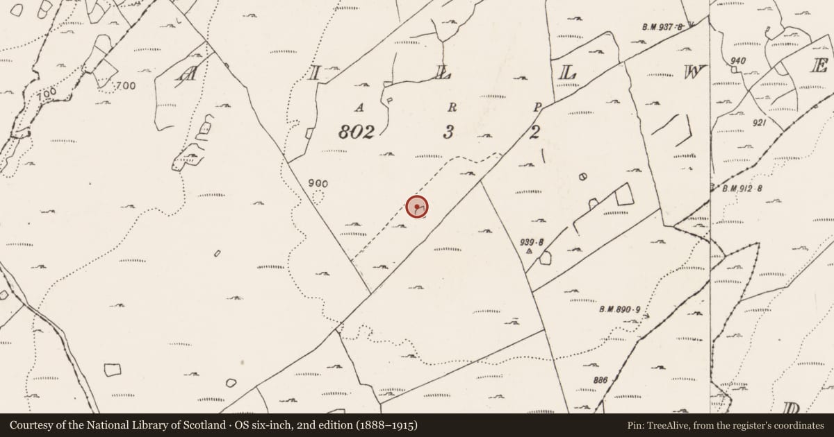 Ordnance Survey six-inch map, 2nd edition (1888–1915) covering the location of Ringfort - cashel, Aillwee, County Clare, with a pin at the register's coordinates