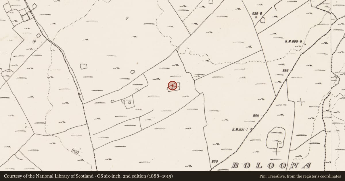 Ordnance Survey six-inch map, 2nd edition (1888–1915) covering the location of Ringfort - cashel, Aillwee, County Clare, with a pin at the register's coordinates