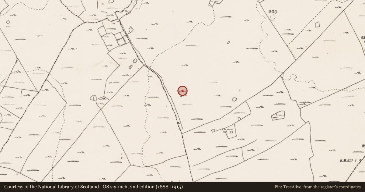 Ordnance Survey six-inch map, 2nd edition (1888–1915) covering the location of Ringfort - cashel, Aillwee, County Clare, with a pin at the register's coordinates