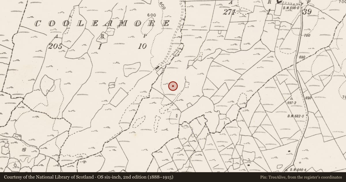 Ordnance Survey six-inch map, 2nd edition (1888–1915) covering the location of Enclosure, Cullaun, County Clare, with a pin at the register's coordinates
