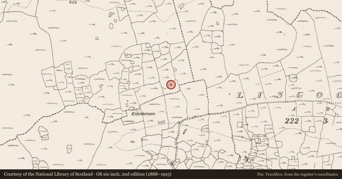 Ordnance Survey six-inch map, 2nd edition (1888–1915) covering the location of Ringfort - cashel, Berneens, County Clare, with a pin at the register's coordinates