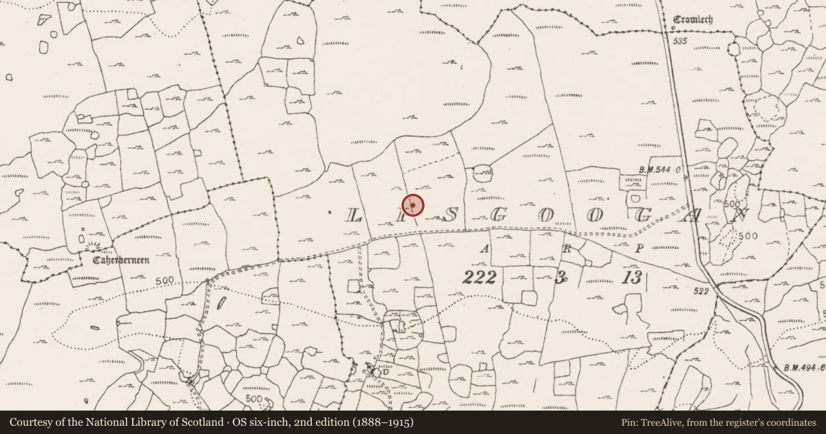 Ordnance Survey six-inch map, 2nd edition (1888–1915) covering the location of Enclosure, Lisgoogan, County Clare, with a pin at the register's coordinates