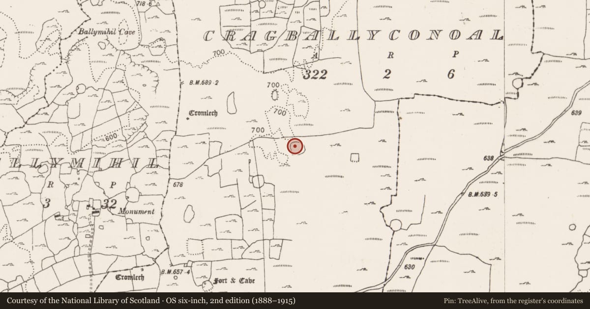 Ordnance Survey six-inch map, 2nd edition (1888–1915) covering the location of Ringfort - cashel, Cragballyconoal, County Clare, with a pin at the register's coordinates