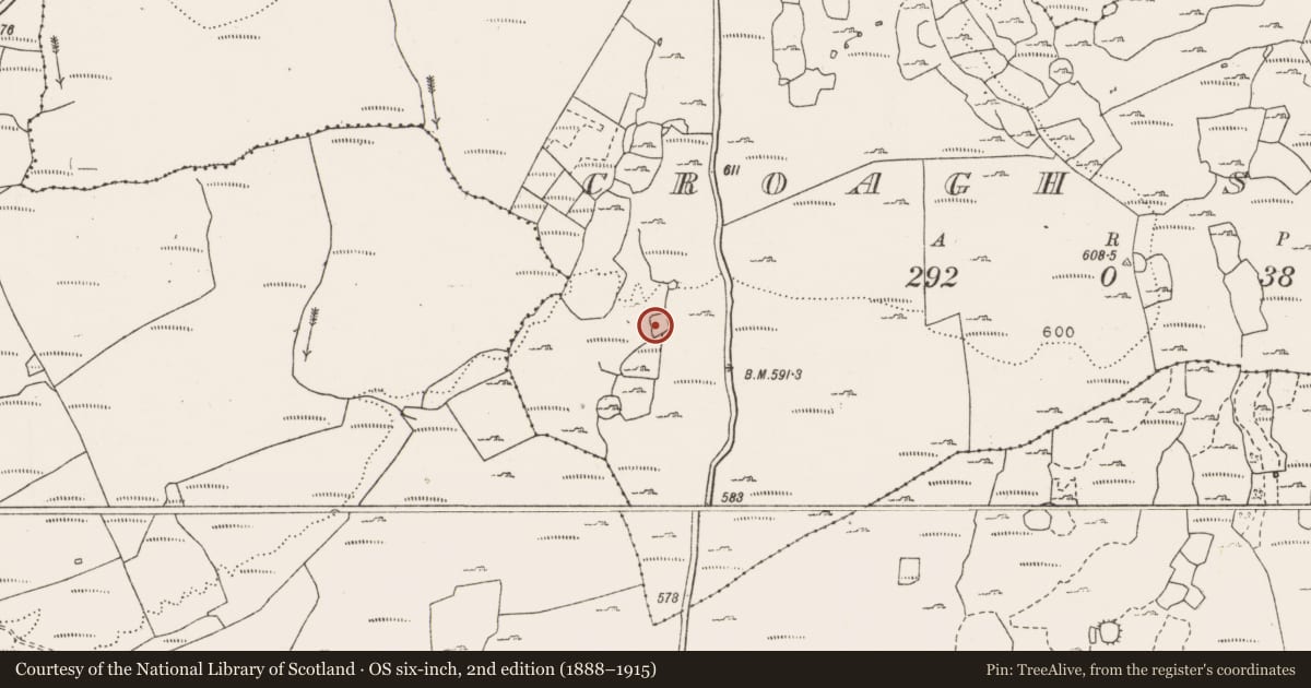 Ordnance Survey six-inch map, 2nd edition (1888–1915) covering the location of Enclosure, Croagh South, County Clare, with a pin at the register's coordinates