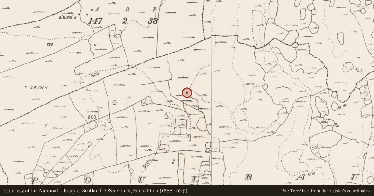 Ordnance Survey six-inch map, 2nd edition (1888–1915) covering the location of Cave, Poulbaun, County Clare, with a pin at the register's coordinates