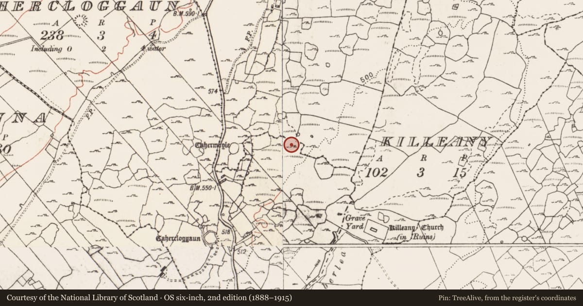 Ordnance Survey six-inch map, 2nd edition (1888–1915) covering the location of Ringfort - cashel, Cragreagh, Cahercloggaun, County Clare, with a pin at the register's coordinates