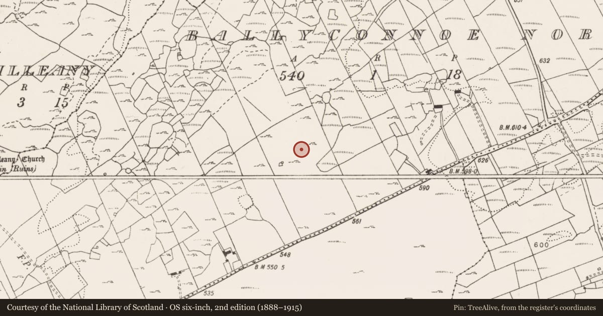 Ordnance Survey six-inch map, 2nd edition (1888–1915) covering the location of Fulacht fia, Ballyconnoe North, County Clare, with a pin at the register's coordinates