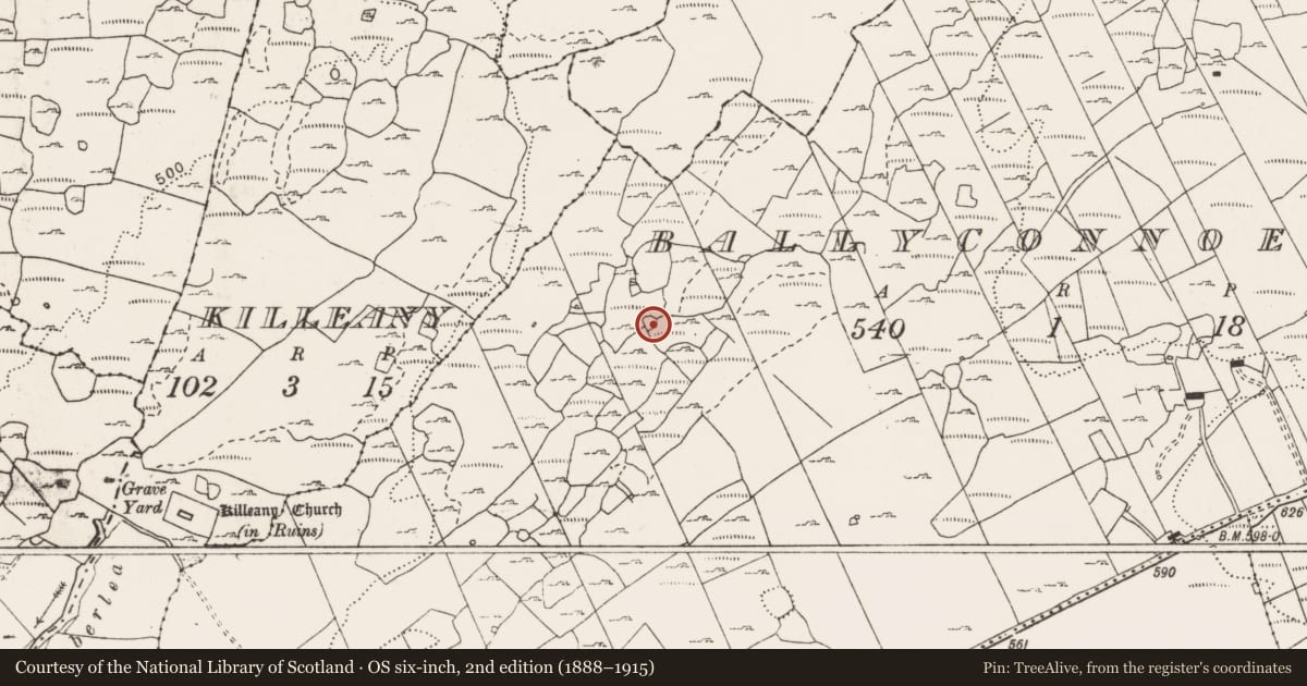 Ordnance Survey six-inch map, 2nd edition (1888–1915) covering the location of Ringfort - cashel, Ballyconnoe North, County Clare, with a pin at the register's coordinates