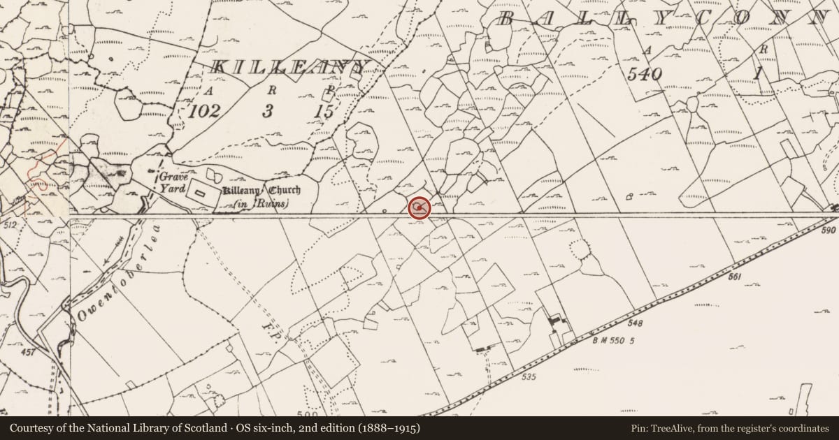 Ordnance Survey six-inch map, 2nd edition (1888–1915) covering the location of Ringfort - cashel, Ballyconnoe North, County Clare, with a pin at the register's coordinates