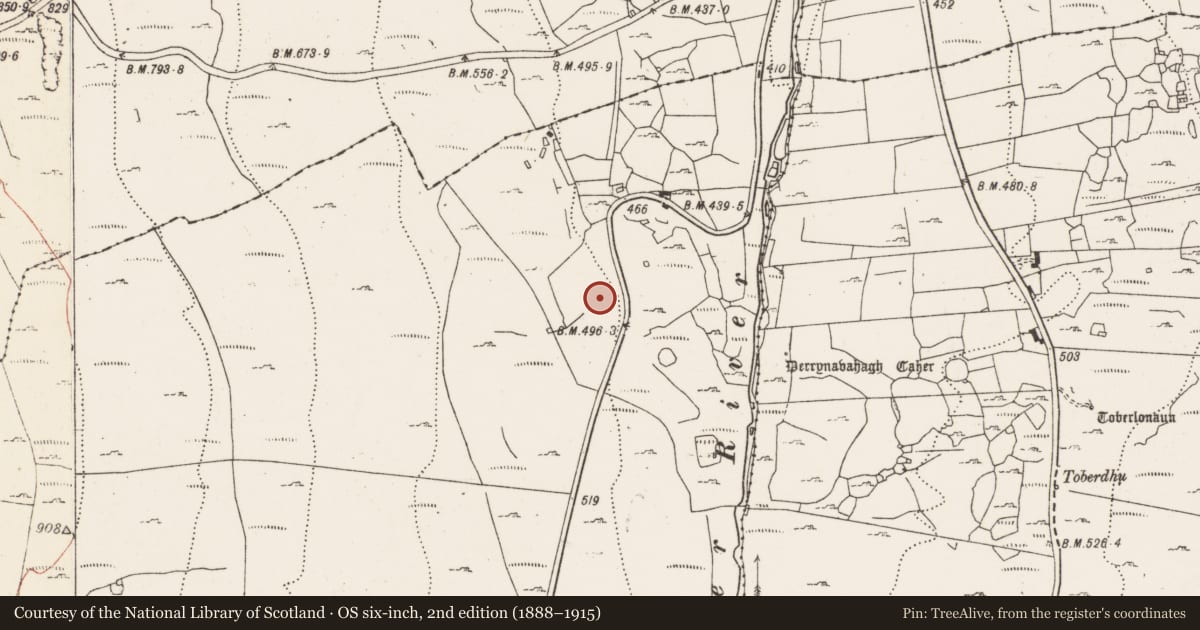 Ordnance Survey six-inch map, 2nd edition (1888–1915) covering the location of Enclosure, Caherbullog, County Clare, with a pin at the register's coordinates