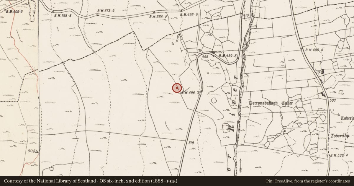 Ordnance Survey six-inch map, 2nd edition (1888–1915) covering the location of Field system, Caherbullog, County Clare, with a pin at the register's coordinates