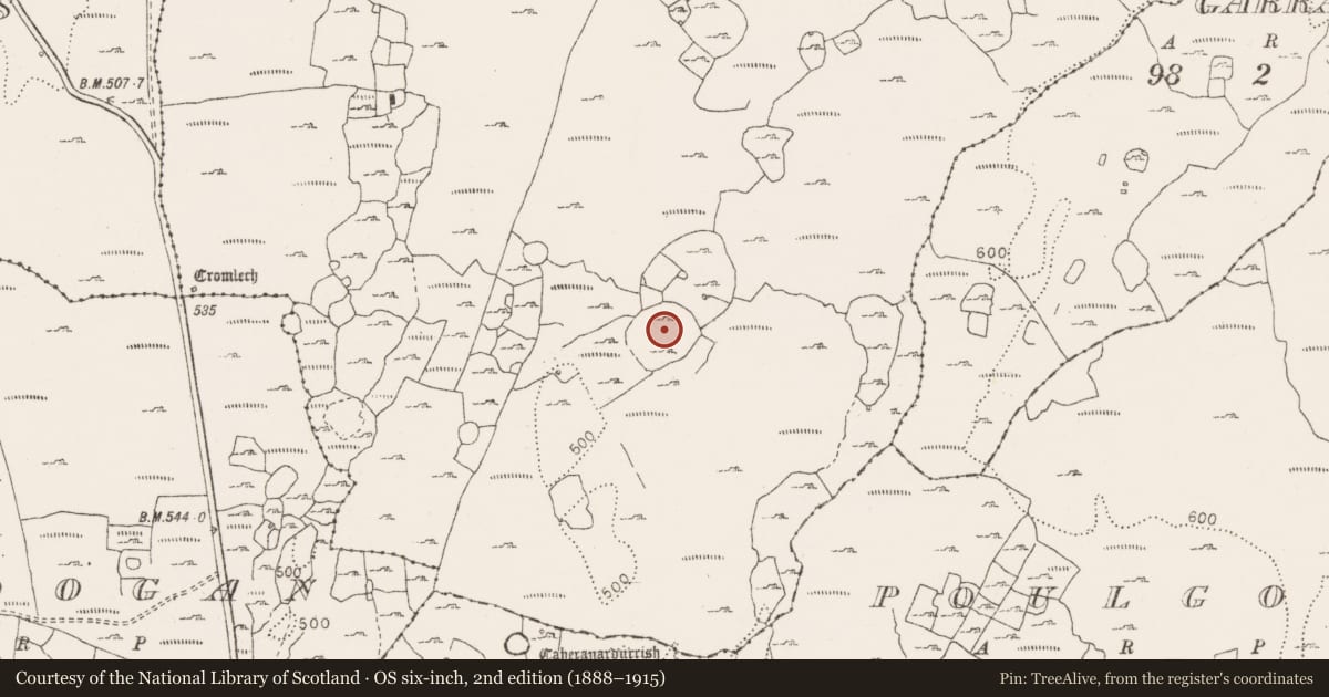 Ordnance Survey six-inch map, 2nd edition (1888–1915) covering the location of Enclosure - large enclosure, Gleninsheen, County Clare, with a pin at the register's coordinates