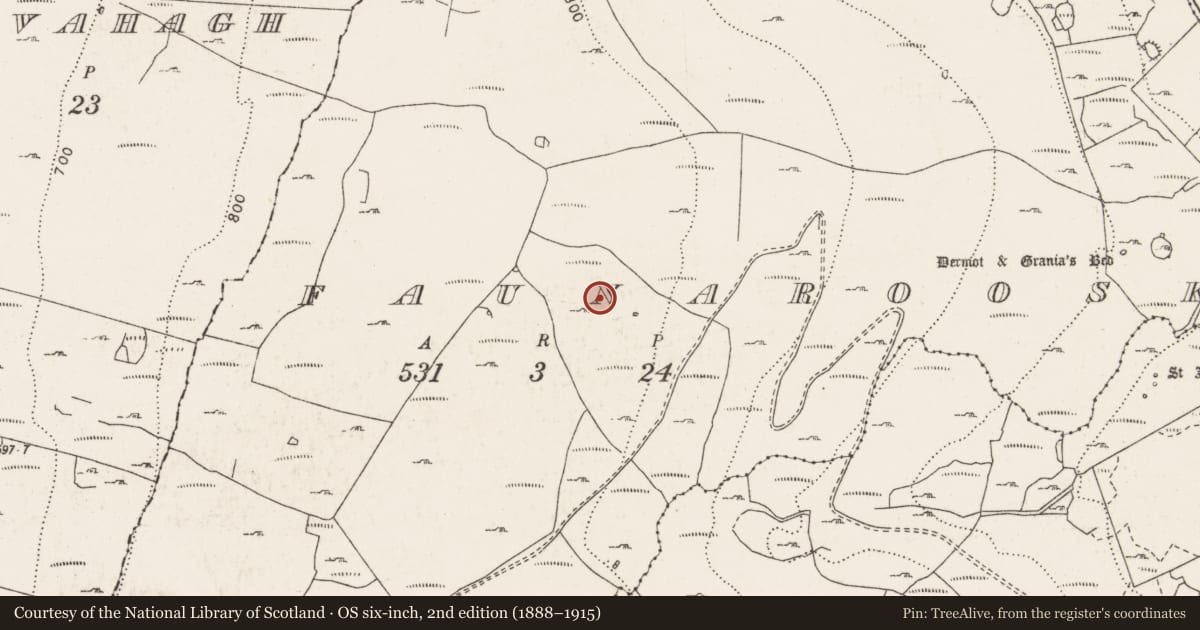 Ordnance Survey six-inch map, 2nd edition (1888–1915) covering the location of Enclosure, Faunarooska, County Clare, with a pin at the register's coordinates