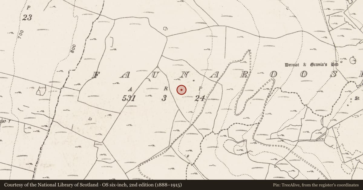 Ordnance Survey six-inch map, 2nd edition (1888–1915) covering the location of Enclosure, Faunarooska, County Clare, with a pin at the register's coordinates