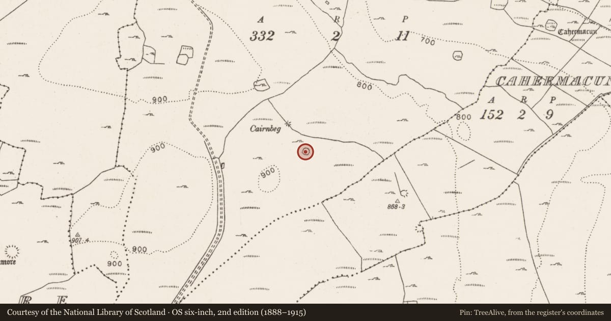 Ordnance Survey six-inch map, 2nd edition (1888–1915) covering the location of Enclosure, Poulacapple, County Clare, with a pin at the register's coordinates
