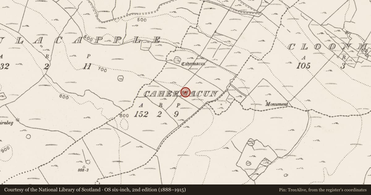 Ordnance Survey six-inch map, 2nd edition (1888–1915) covering the location of Ringfort - cashel, Cahermacun, County Clare, with a pin at the register's coordinates