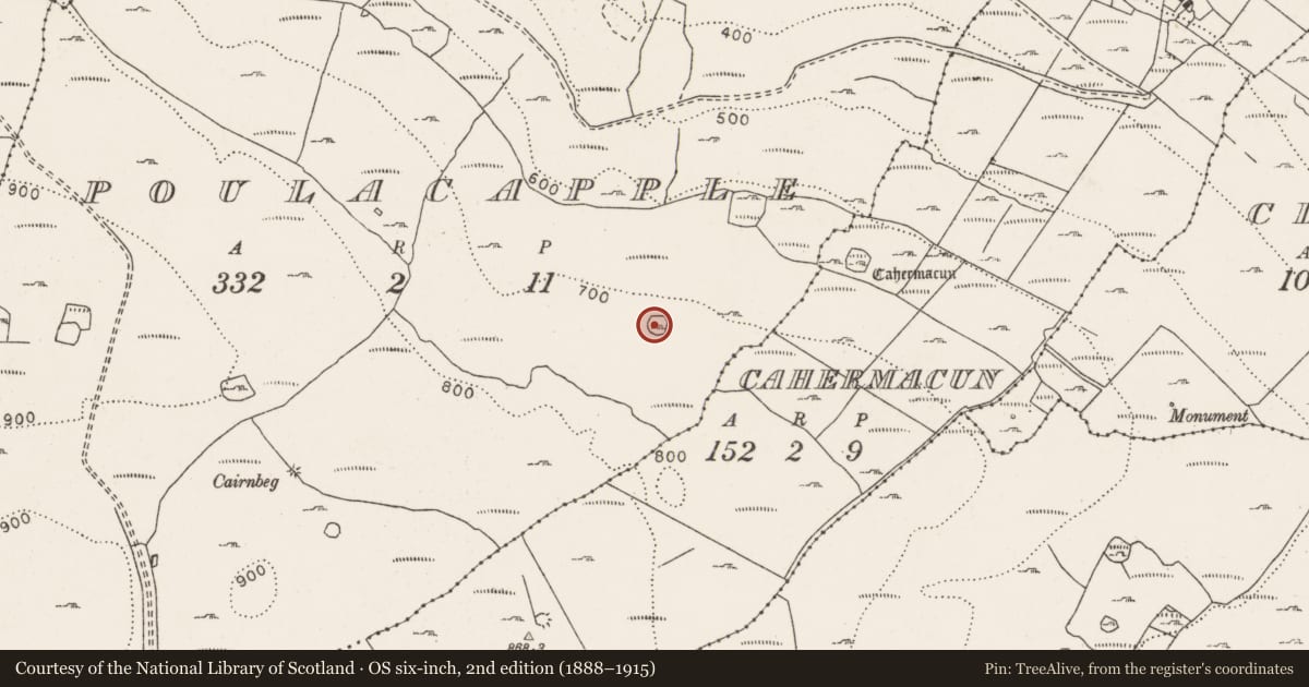Ordnance Survey six-inch map, 2nd edition (1888–1915) covering the location of Ringfort - cashel, Poulacapple, County Clare, with a pin at the register's coordinates