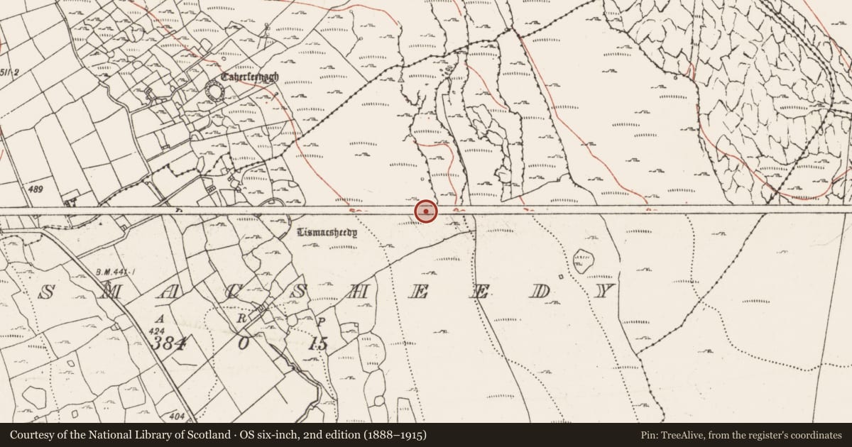 Ordnance Survey six-inch map, 2nd edition (1888–1915) covering the location of Enclosure, Lismacsheedy, County Clare, with a pin at the register's coordinates