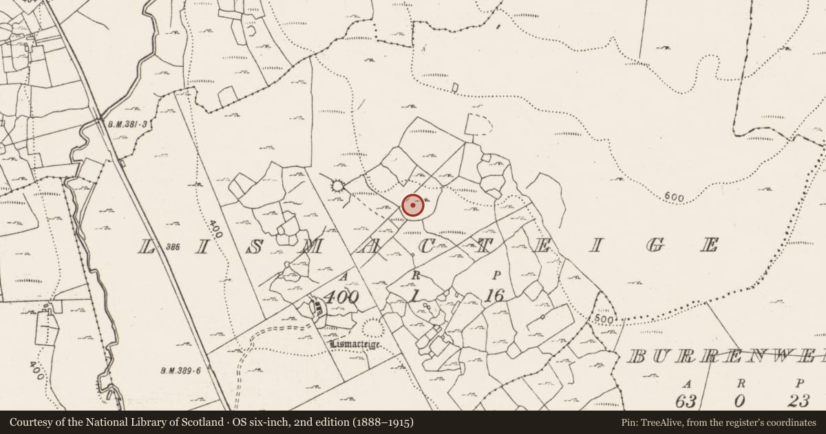 Ordnance Survey six-inch map, 2nd edition (1888–1915) covering the location of Enclosure, Lismacteige, County Clare, with a pin at the register's coordinates