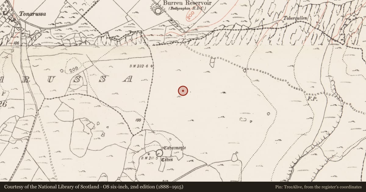 Ordnance Survey six-inch map, 2nd edition (1888–1915) covering the location of Field system, Dangan, County Clare, with a pin at the register's coordinates